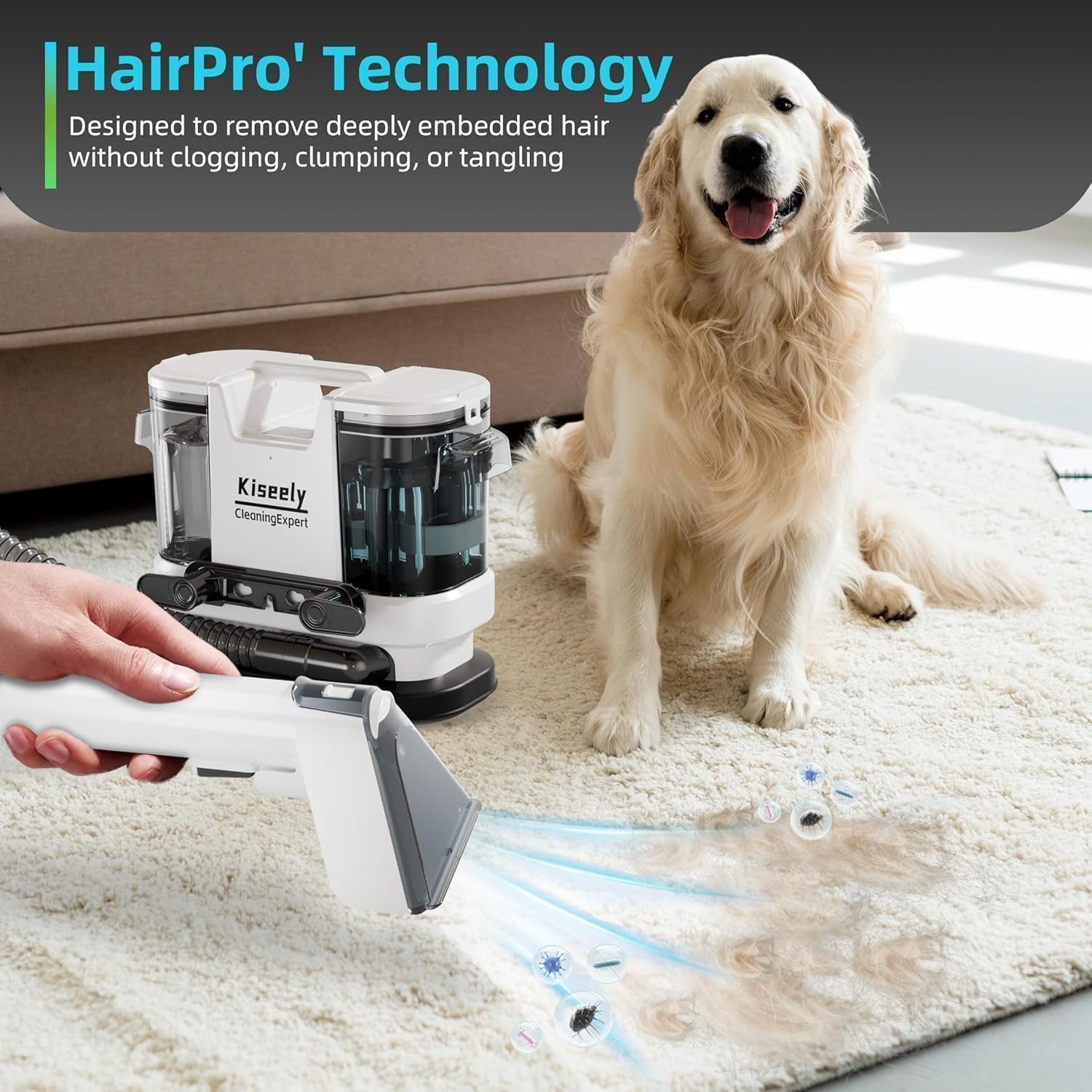 Nettoyeur de tapis et de tissus d'ameublement portable, chauffage instantané, Shampouineuse Canapé, puissant aspirateur et nettoyeur en profondeur (MN1)