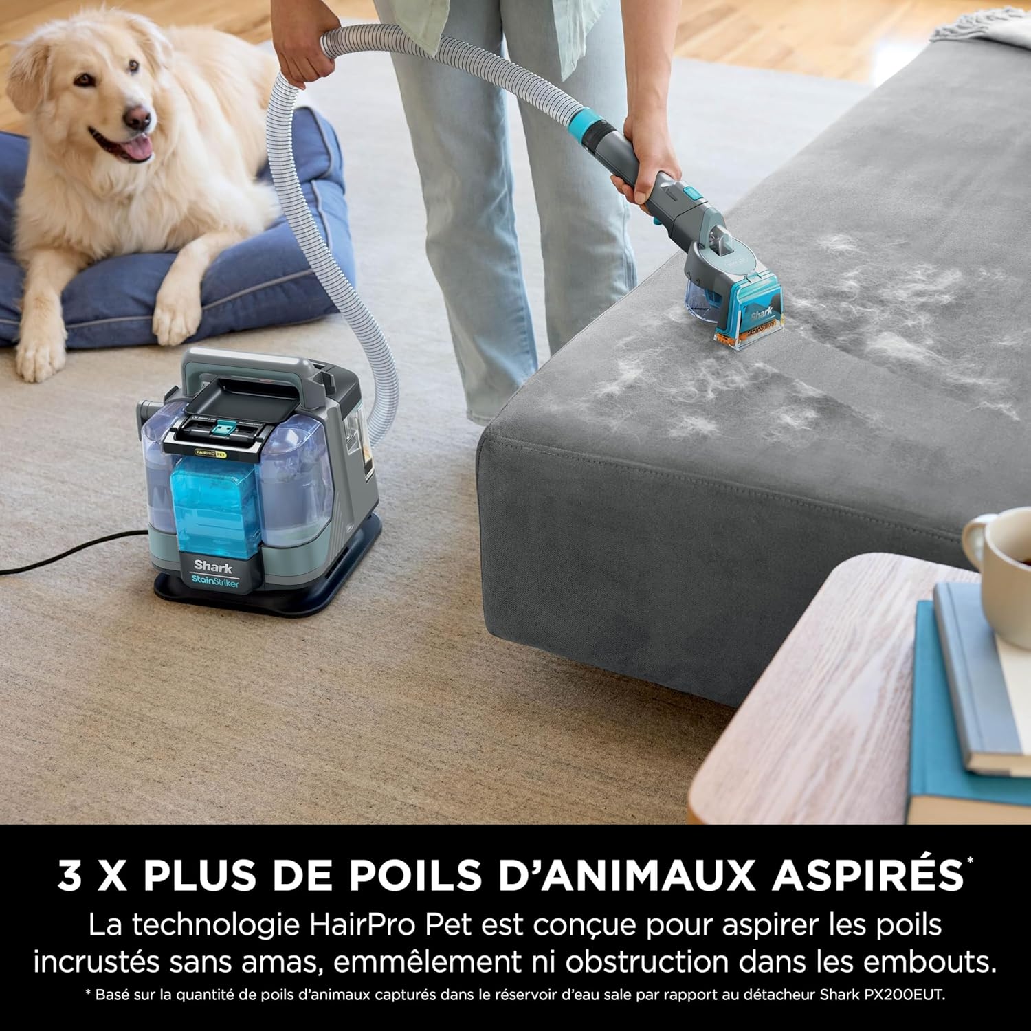 Shark StainStriker HairPro spécial animaux, Shampouineuse canapé, Aspirateur 450W, Extracteur de poils, Élimine taches et odeurs, Léger et portable, 4 accessoires et 2 formules de nettoyage PX250EUCP